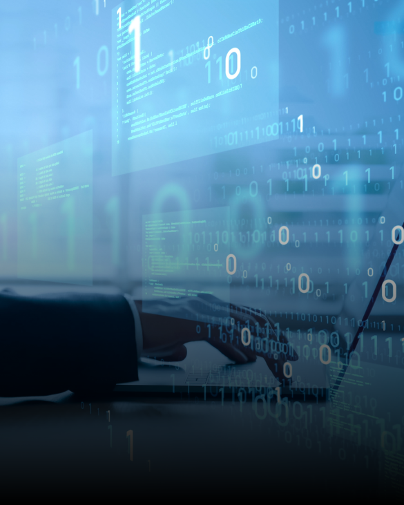 Software Entwicklung