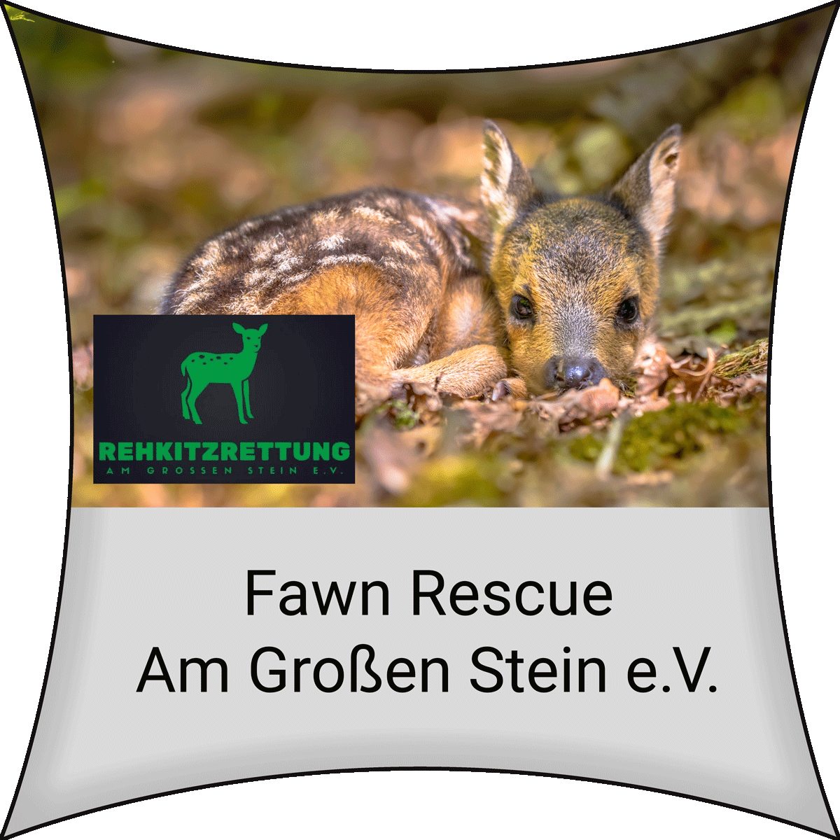 Fawn Rescue Am Großen Stein e.V